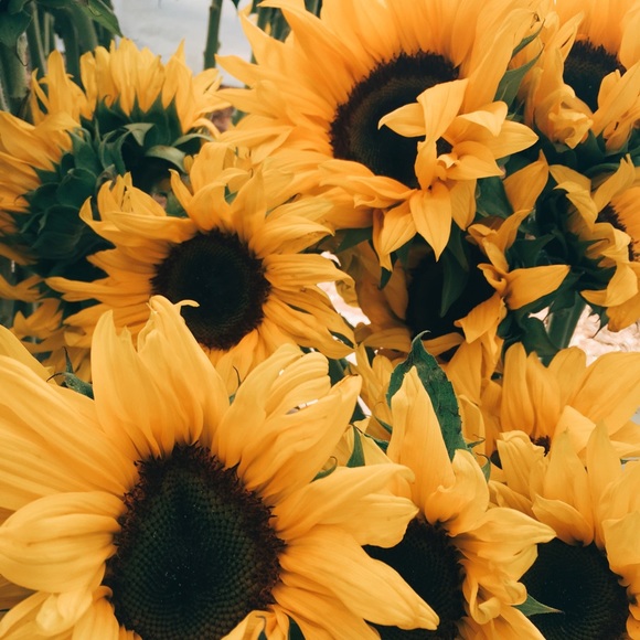 Meet your Posher, Taryn - Picture 1 of 1